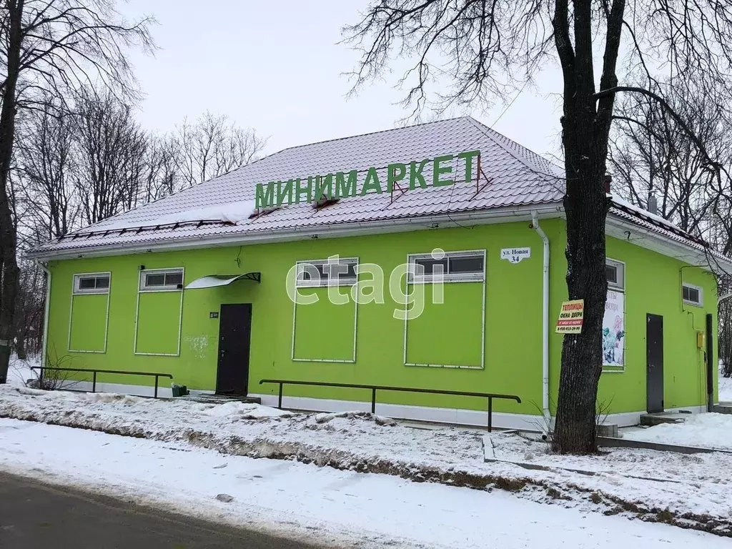 Торговая площадь в Владимирская область, Муром с. Чаадаево, ул. Новая, ... - Фото 1