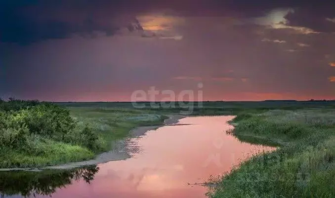 Участок в Алтайский край, Каменский район, с. Гонохово Гоноховская ул. ... - Фото 1