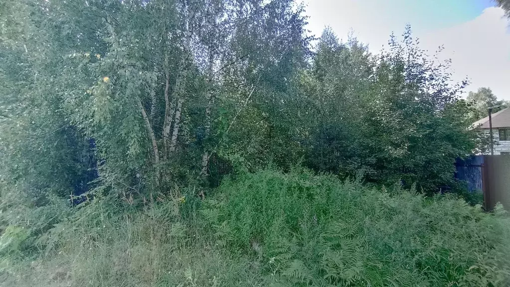 Участок в Московская область, Шатура муниципальный округ, пос. ... - Фото 1