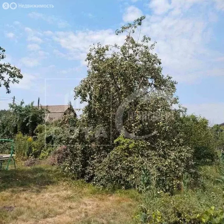 Дом в Воронеж, СНТ Садовод ВАСО (44 м) - Фото 1