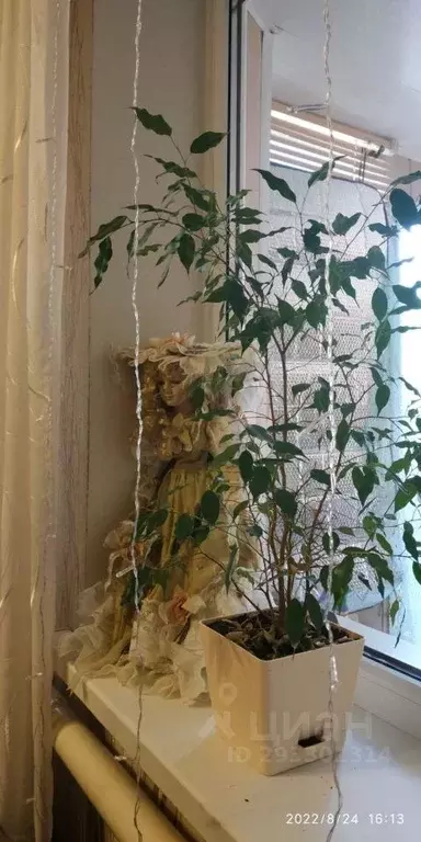 Дом в Белгородская область, Шебекино Урожайная ул. (121 м) - Фото 1