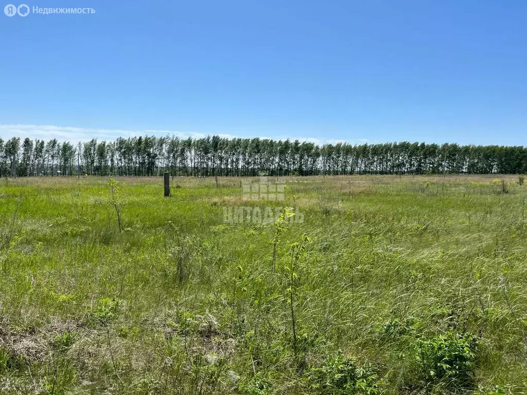Участок в село Девица, Весенняя улица (11 м) - Фото 1