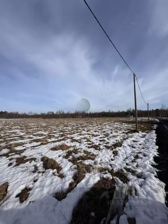 Участок в Ленинградская область, Приозерский район, Ромашкинское ... - Фото 1