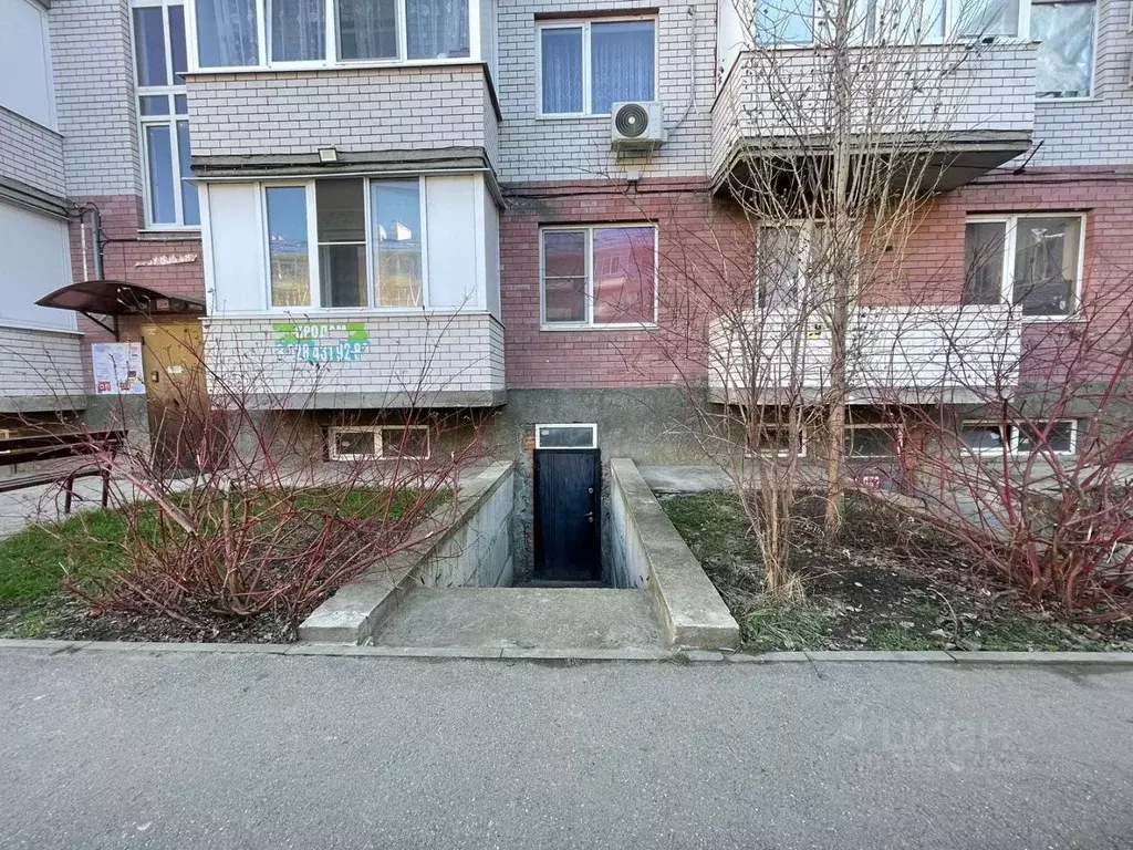 Торговая площадь в Краснодарский край, Краснодар ул. Шевцова, 36/1 (37 ... - Фото 1