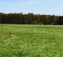 Участок, 6 сот., сельхоз (снт или днп) - Фото 1