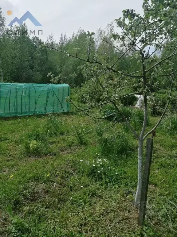 Дом в Вологодская область, пос. Ермаково  (10 м) - Фото 0