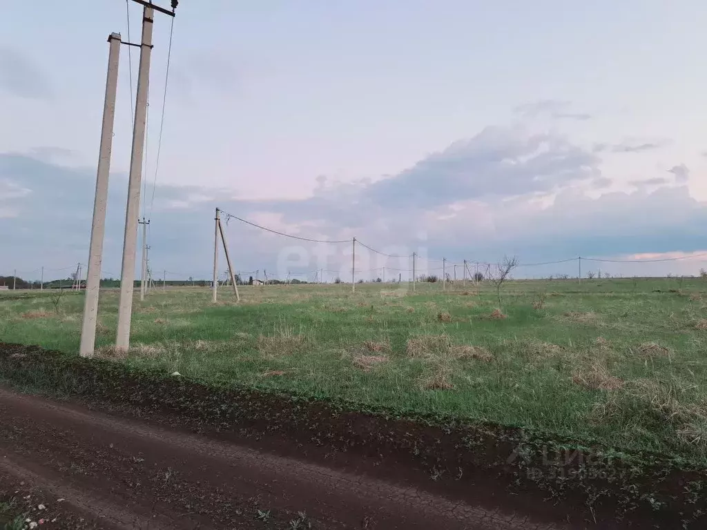 Участок в Саратовская область, Балашовский район, Хоперское ... - Фото 1