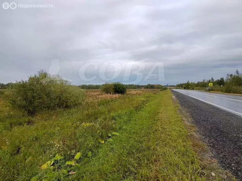 Участок в Тюменский район, деревня Коняшина (20 м) - Фото 1