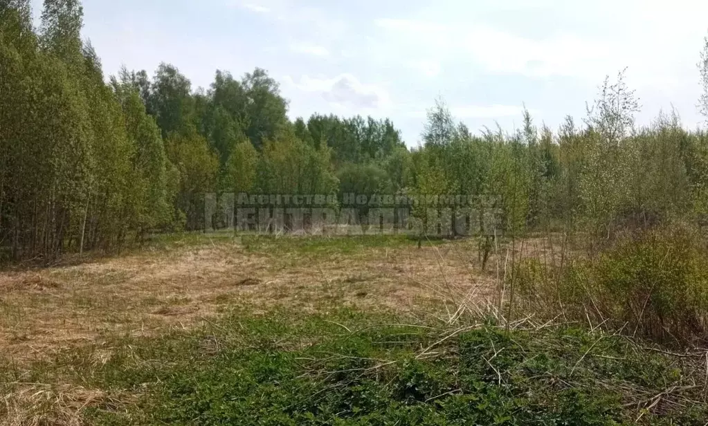 Участок в Смоленская область, Смоленск ш. Рославльское (11.0 сот.) - Фото 2