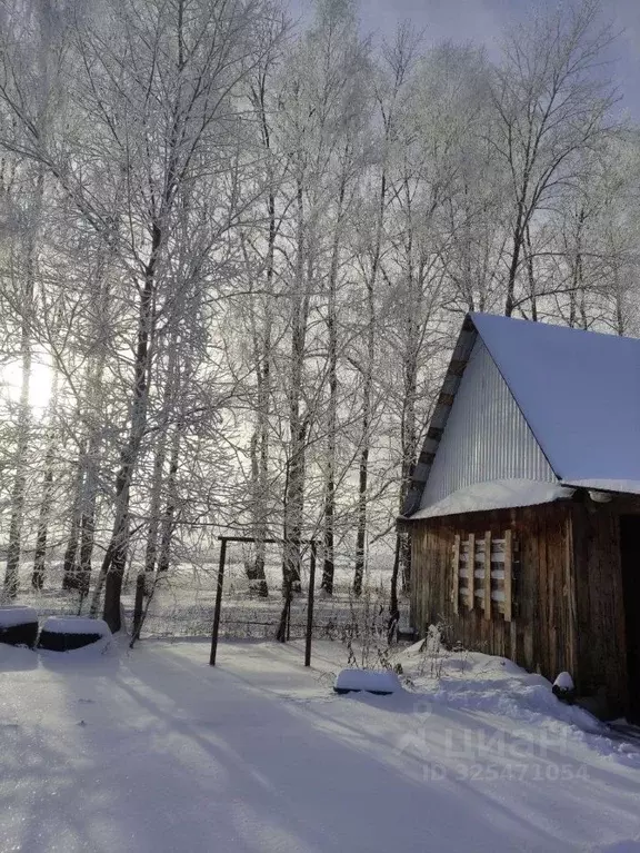 Дом в Башкортостан, Кармаскалинский район, Кабаковский сельсовет, ... - Фото 1