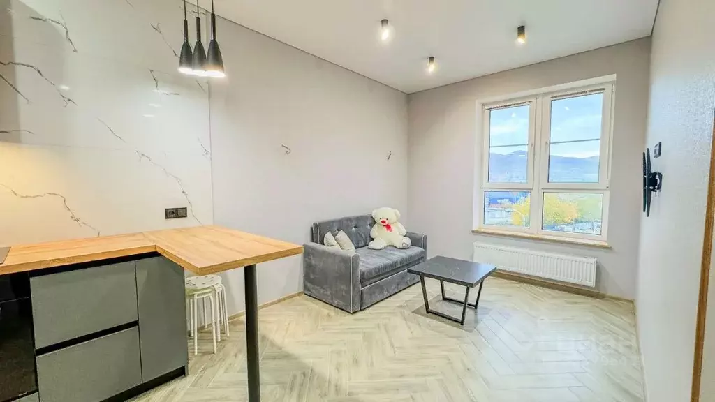 1-к кв. Краснодарский край, Новороссийск Цемдолина тер., ул. ... - Фото 1