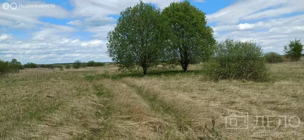 Участок в село Деревенское, улица Заболотная, 23 (42 м) - Фото 0