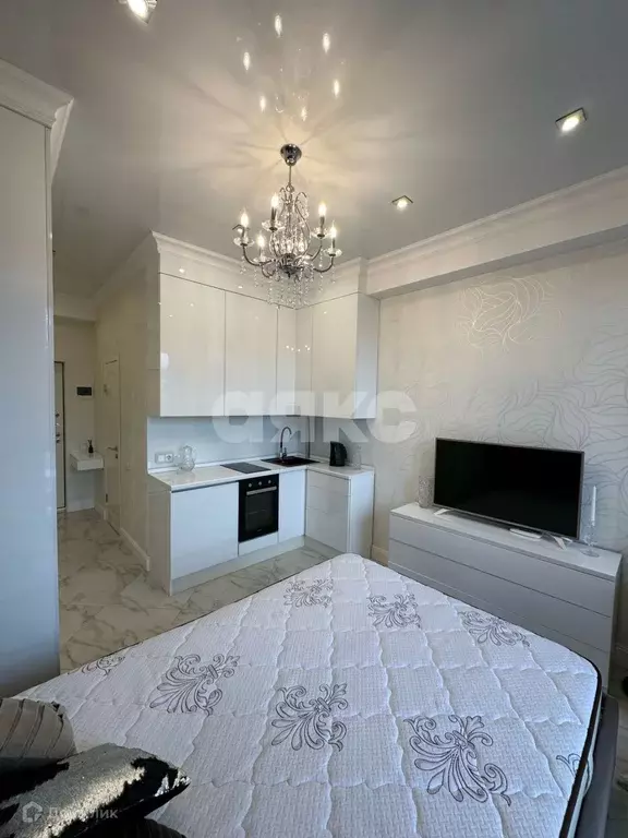 Продаётся квартира-студия, 23.5 м - Фото 0