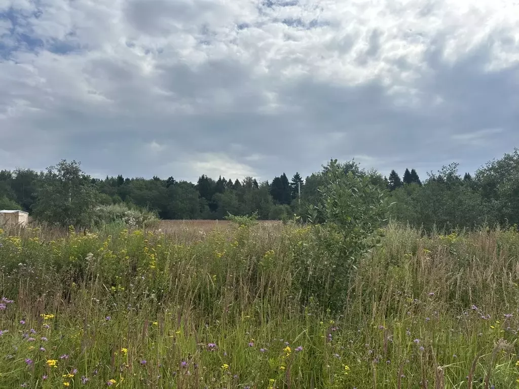 Участок в Московская область, Сергиево-Посадский городской округ, д. ... - Фото 1