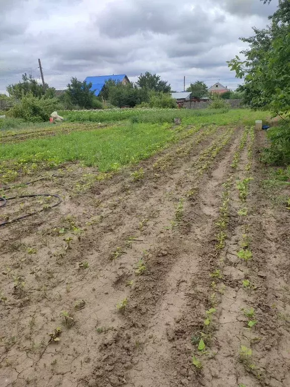 Участок 6 сот. (СНТ, ДНП) - Фото 0