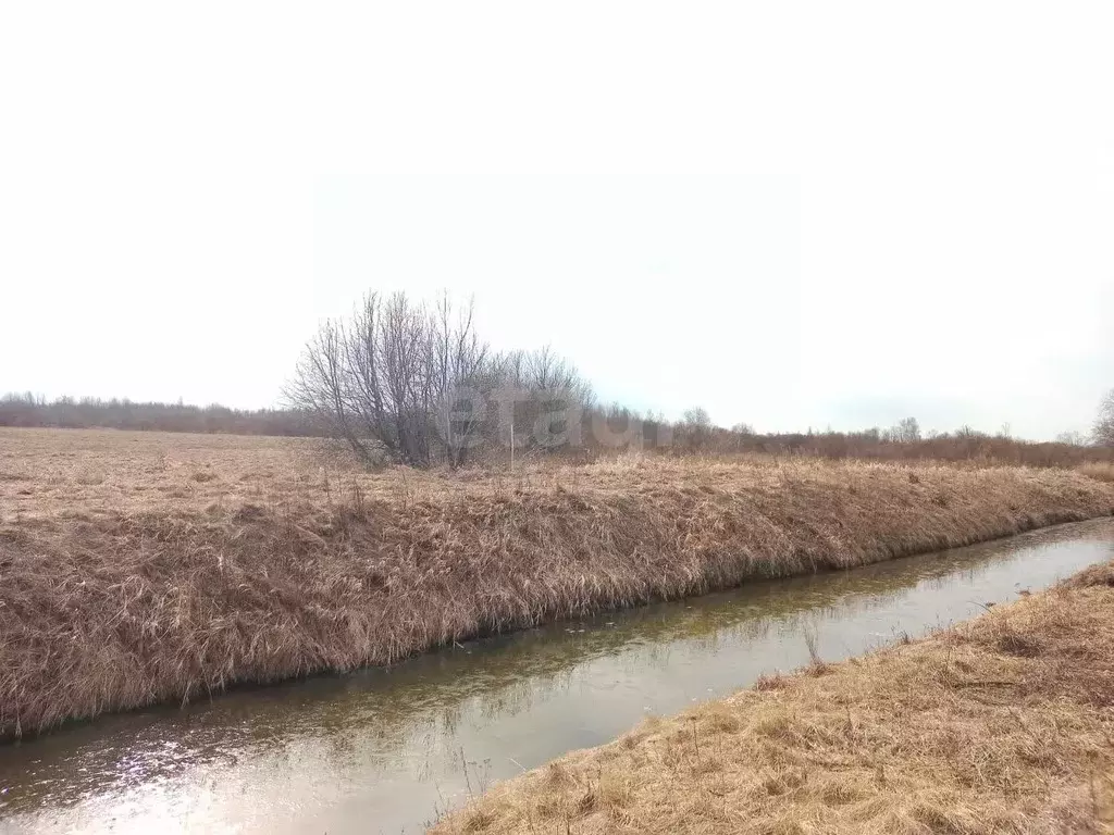 Участок в Псковская область, Гдов городское поселение, д. Луневщина  ... - Фото 1