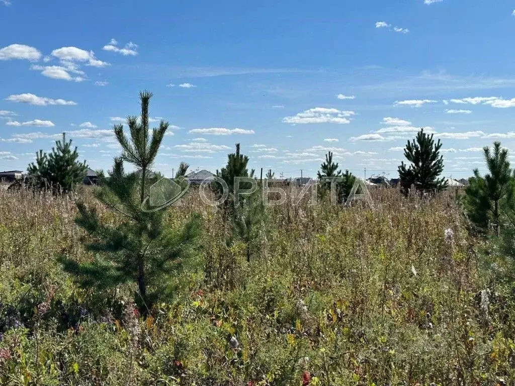 Участок в Тюменская область, Тюменский район, д. Елань 14 (5.0 сот.) - Фото 0