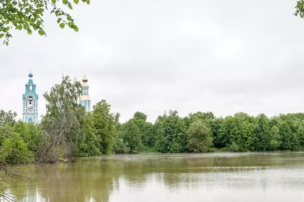 Участок в Московская область, Ступино городской округ, с. Щапово  ... - Фото 1