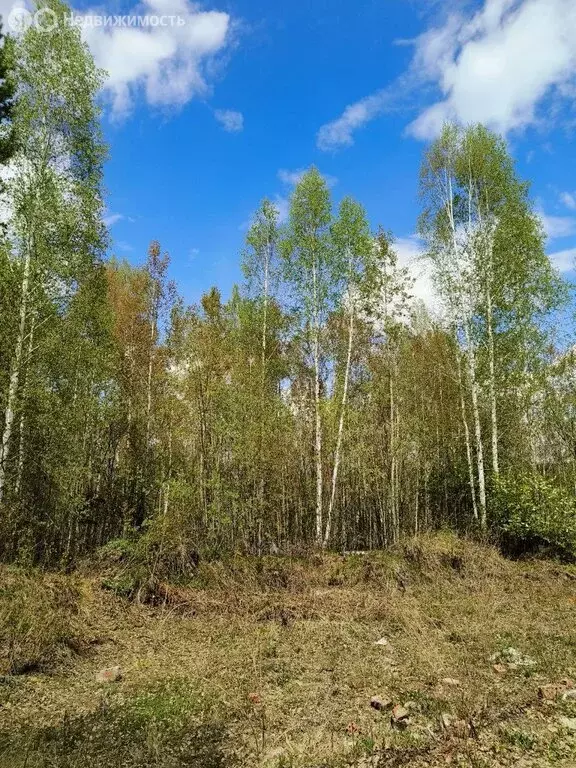 Участок в Иркутский муниципальный округ, рабочий посёлок Маркова, ... - Фото 0