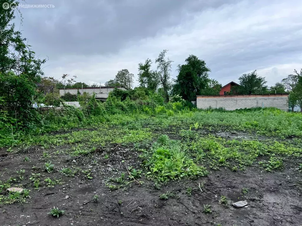 Участок в Владикавказ, садовое товарищество Дружба, улица Дружбы (6 м) - Фото 1