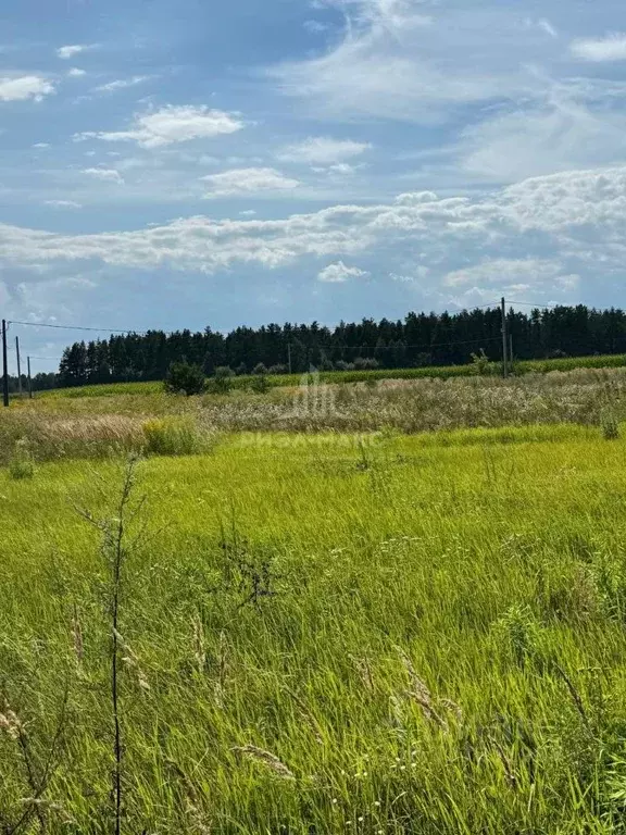 Участок в Брянская область, Брянский район, Добрунское с/пос, с. ... - Фото 2