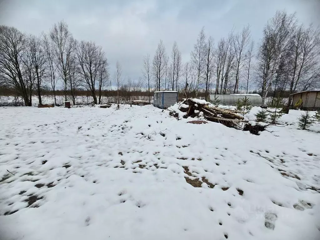 Участок в Ленинградская область, Ломоносовский район, Пениковское ... - Фото 2