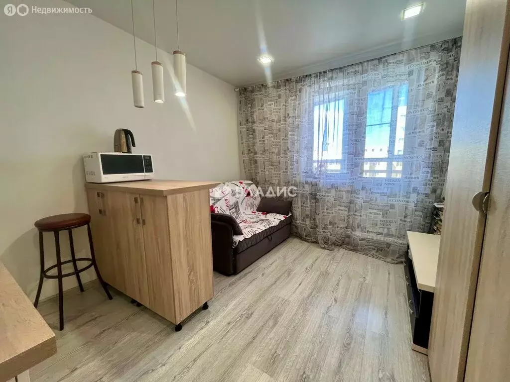 Квартира-студия: село Засечное, Светлая улица, 13 (22 м) - Фото 2
