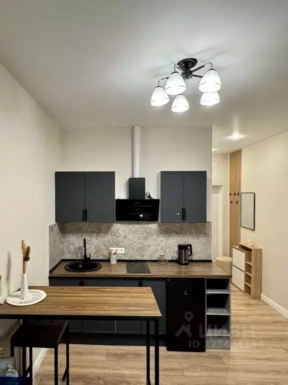 Студия Москва просп. Прокшинский, 5 (23.0 м) - Фото 0