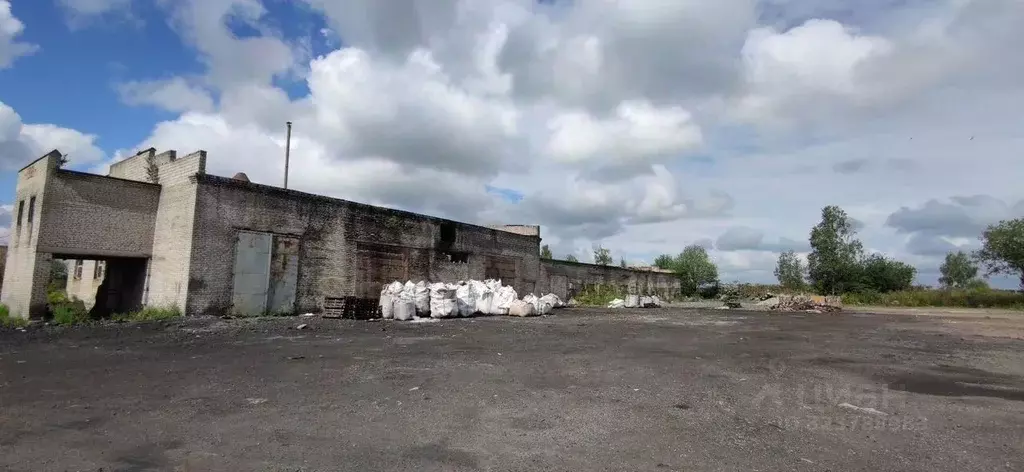 Склад в Ленинградская область, Киришский район, Глажевское с/пос, д. ... - Фото 2