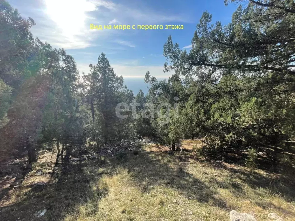 Участок в Крым, Ялта муниципальный округ, Симеиз пгт ул. Голубая, 2 ... - Фото 1