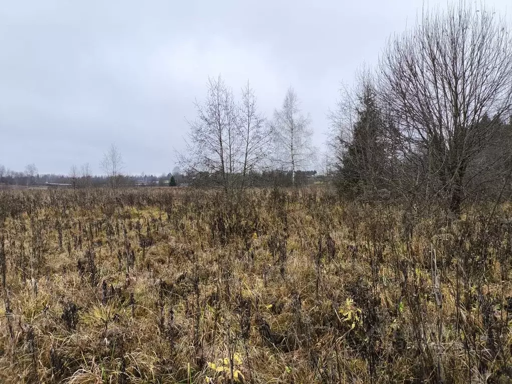 Участок в Московская область, Дмитровский муниципальный округ, ... - Фото 1
