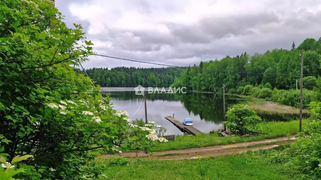 Участок в Пермский край, Добрянский муниципальный округ, пос. ... - Фото 2