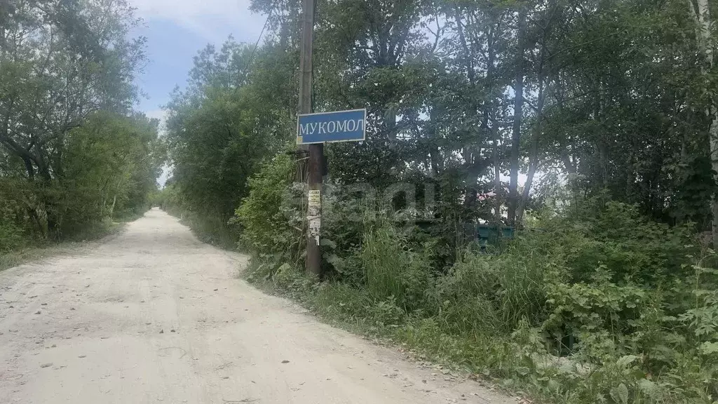 Участок в Сахалинская область, Южно-Сахалинск Мукомол СНТ, 96 (592.0 ... - Фото 1