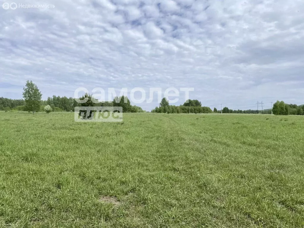 Участок в Кемерово, микрорайон 15А, ЖК Родные Просторы (15 м) - Фото 1