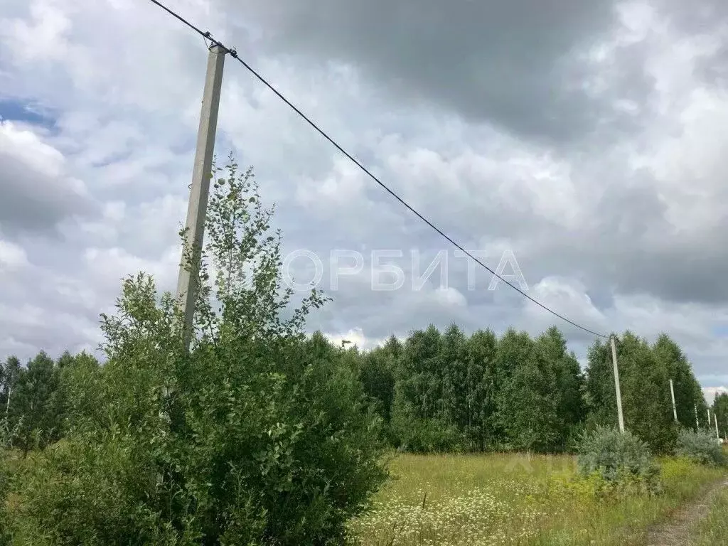 Участок в Тюменская область, Нижнетавдинский район, Царицыно СНТ  (9.3 ... - Фото 0