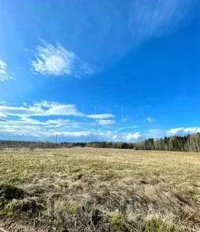 Участок в Ленинградская область, Выборгский район, Каменногорское ... - Фото 2