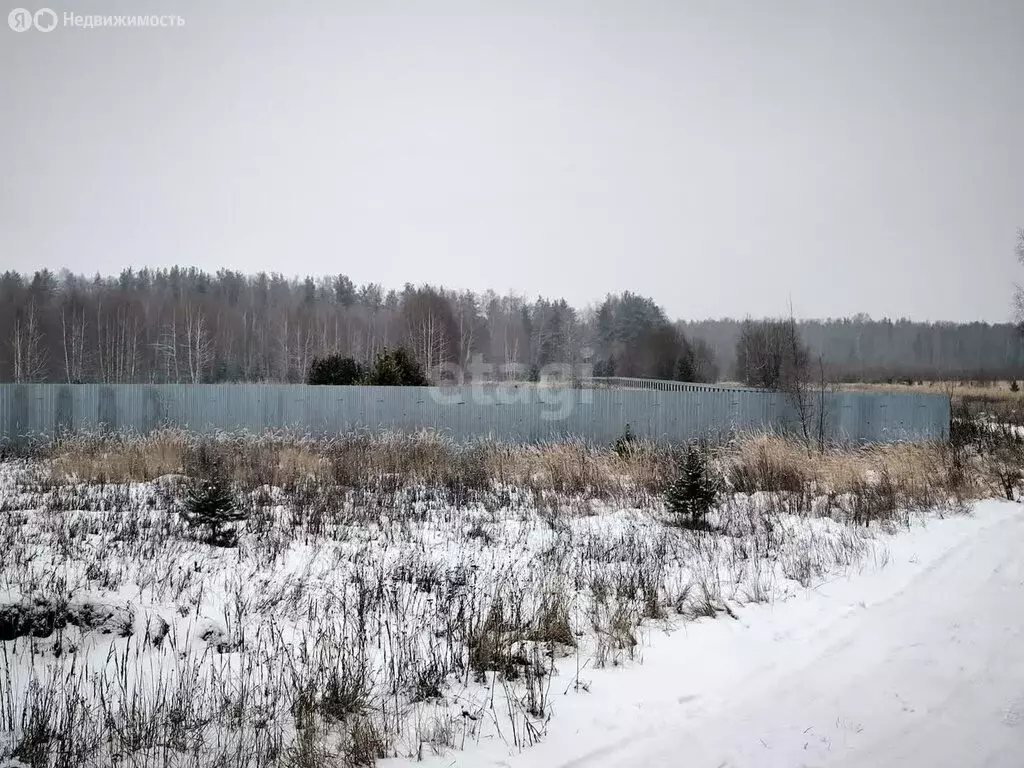 Участок в округ Муром, деревня Михайлово, Центральная улица (200 м) - Фото 1