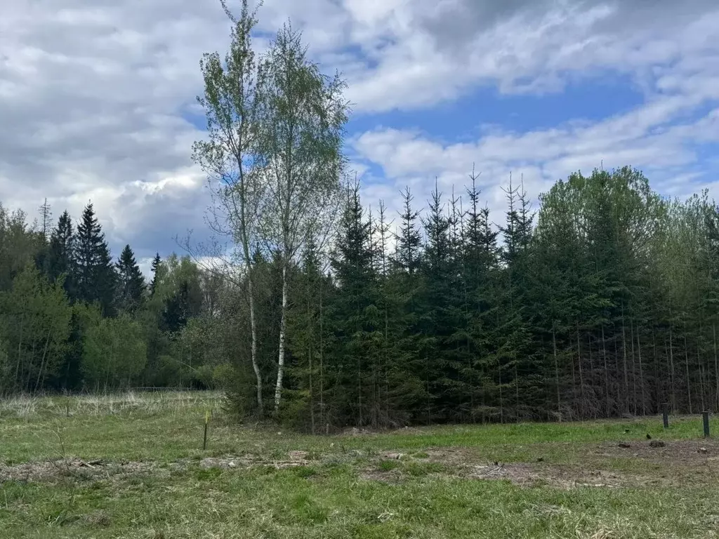 Участок в Московская область, Одинцовский городской округ, д. ... - Фото 2