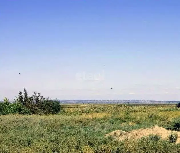 Участок в Ростовская область, Азовский район, Рогожкинское с/пос, ... - Фото 0