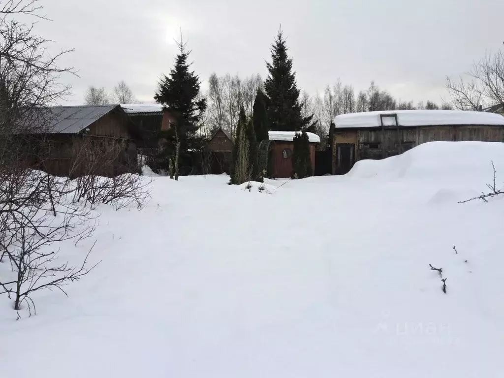 Дом в Московская область, Богородский городской округ, Жаворонок СНТ ... - Фото 1
