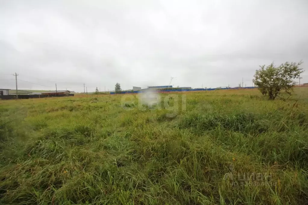 Участок в Красноярский край, Красноярск городской округ, Березовка ... - Фото 1