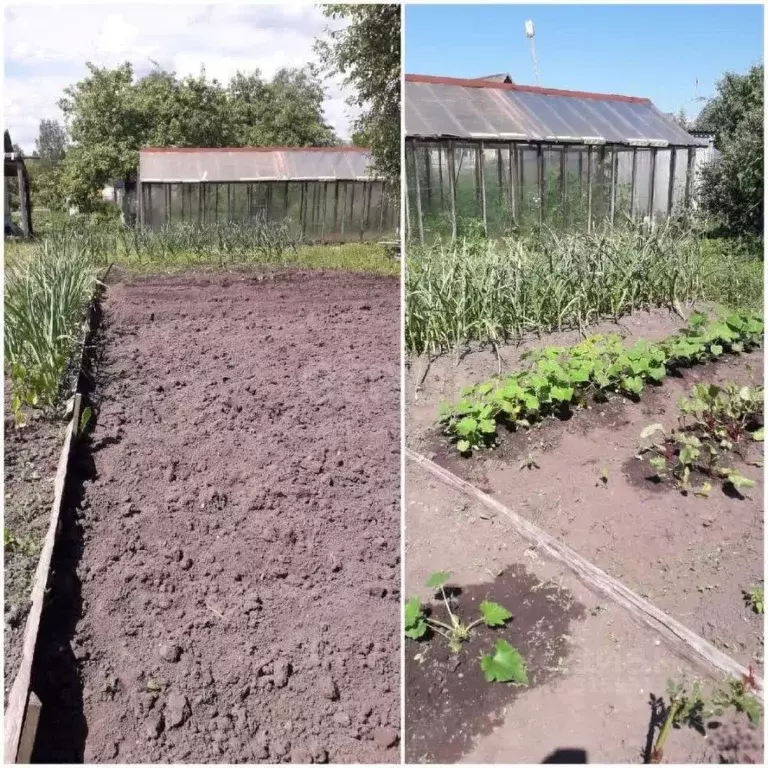 Дом в Псковская область, Островский район, Бережанская волость, ... - Фото 1