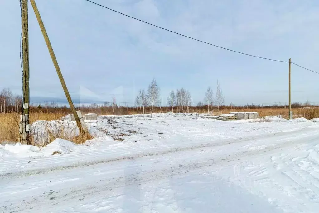 Участок в Тюменская область, Тюмень Матрешка СНТ, ул. Елисеевская ... - Фото 1