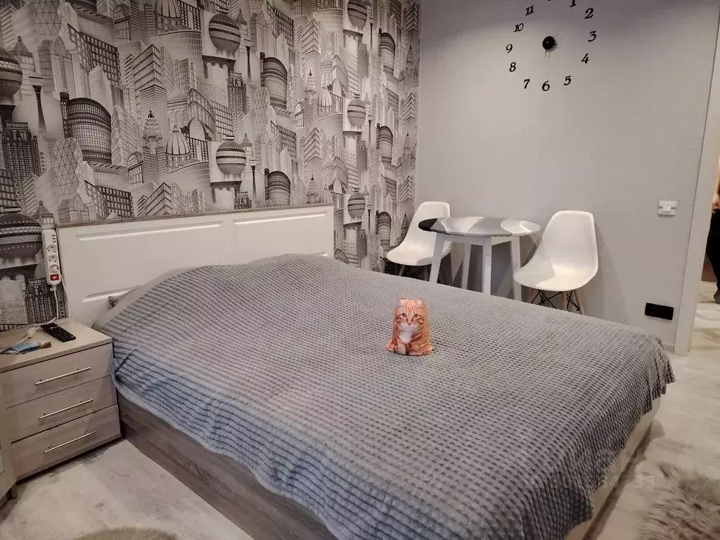 1-к кв. Ленинградская область, Выборг ул. Сторожевой Башни, 9 (23.0 м) - Фото 2