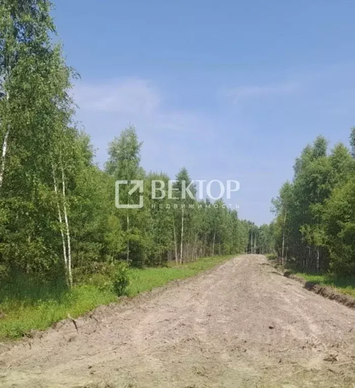 Участок в Ивановская область, Лежневское с/пос, д. Мальчиха  (10.0 ... - Фото 1