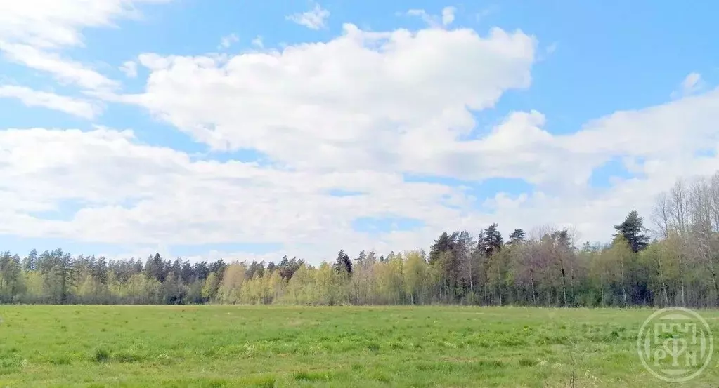 Участок в Ленинградская область, Выборгский район, Красносельское ... - Фото 1