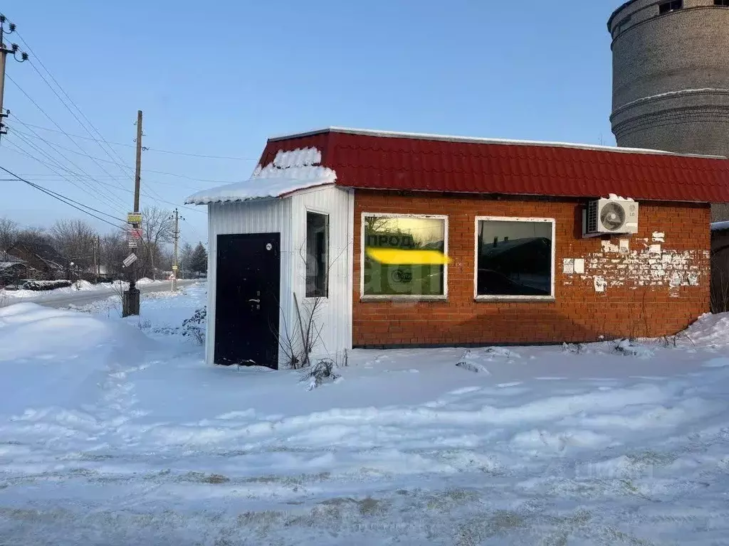 Торговая площадь в Воронежская область, Нижнедевицкий район, ... - Фото 1