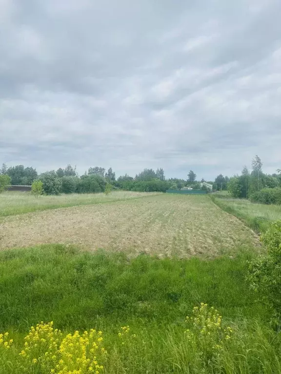 Участок в Московская область, Коломна городской округ, д. Тимирево  ... - Фото 0