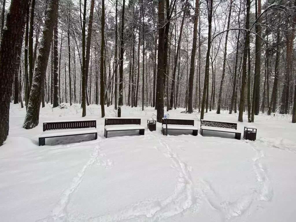 Ивантеевка пушкинский городской округ