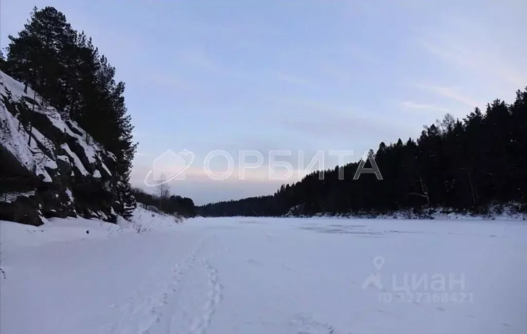 Участок в Тюменская область, Тюменский муниципальный округ, Каменское ... - Фото 2